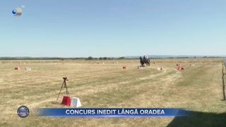 VIDEO - Concurs spectaculos de atelaje, lângă Oradea