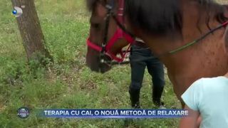 VIDEO - Terapia cu cai, o nouă metodă de relaxare