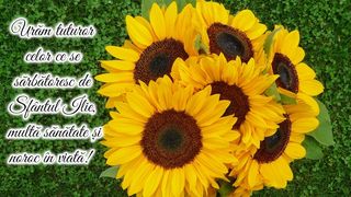 Mesaje de Sf.Ilie 2023. Felicitări și urări superbe pentru sărbătoriții zilei