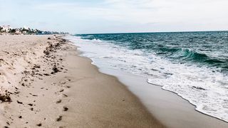 VIDEO- Alertă de E. coli în apa Mării Negre! Ce au transmis autoritățile