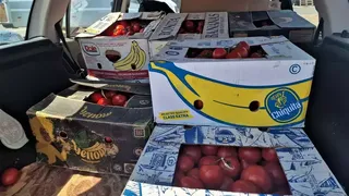 Roșiile se v&acirc;nd pe bani puțini