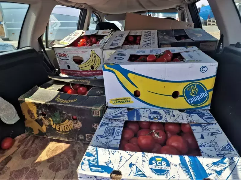 Roșiile se vând pe bani puțini