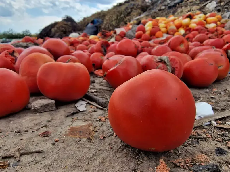 Roșiile ajung la Cimitirul Roșiilor din Matca
