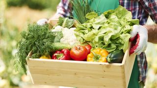 VIDEO- Legume aduse cu lădița la ușa casei. Ideea ingenioasă a unui fermier din Satu Mare