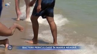Bacterii periculoase &icirc;n Marea Neagră