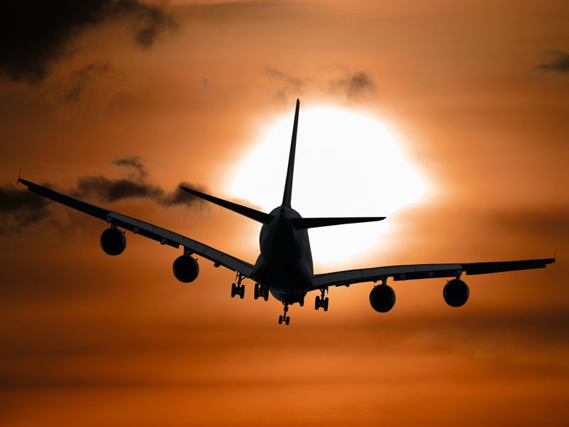 O pasăre a intrat în motorul unui avion, în timp ce aeronava cobora cu viteză pe pistă. Cum au reacționat pasagerii