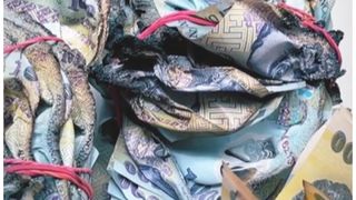 Reprezentanţii BNR au explicat şi care sunt condiţiile pentru ca banii uzaţi sau deterioraţi pot fi schimbaţi.