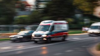 Vacanță neobișnuită pentru mai mulți turiști! Doi persoane rănite, după ce au fost atacate de vaci