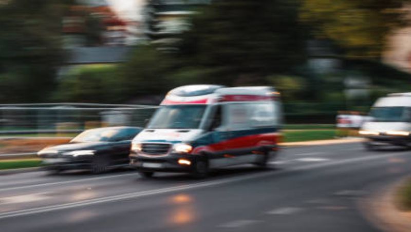 Vacanță neobișnuită pentru mai mulți turiști! Doi persoane rănite, după ce au fost atacate de vaci