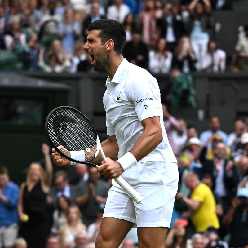 Novak Djokovic - jucător tenis