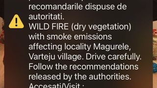 VIDEO - Incendiu uriaș de vegetație &icirc;n Bragadiru. Fumul dens se vede de la distanță