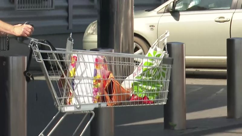 Coșul de cumpărături poate fi mai ieftin cu peste 100 de lei în România