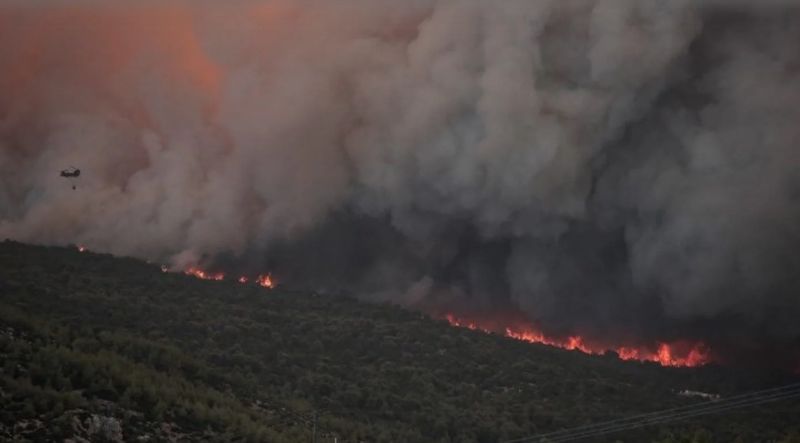 VIDEO - Incendii de vegetație în Grecia. Ard pădurile de lângă Atena. Avertizarea MAE pentru românii care călătoresc în această țară