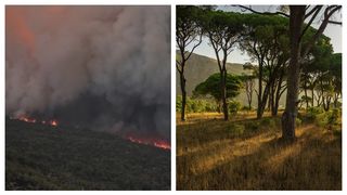 VIDEO - Incendii de vegetație în Grecia. Ard pădurile de lângă Atena. România trimite încă 40 de pompieri în sprijinul autorităților elene