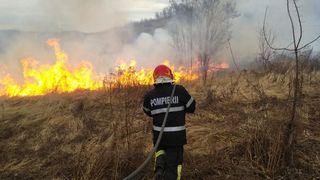 VIDEO- Incendii de vegetație în Dolj. Au ars în total circa 30 hectare de teren. Avertismentul specialiștilor