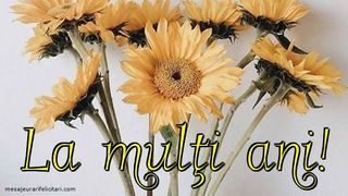 La mulți ani de Sf. Ilie 2023: Mesaje, urări și felicitări pentru sărbătoriții zilei