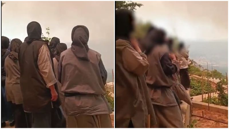 incendii grecia 2023, incendii grecia iulie 2023, grecia, calugarite grecia