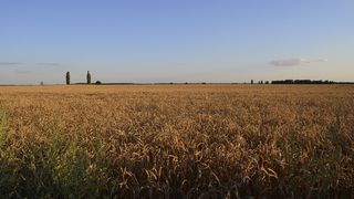 Rom&acirc;nia și alte patru state europene cer prelungirea restricțiilor privind exporturile de cereale din Ucraina