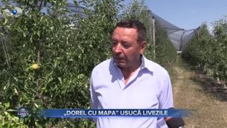&bdquo;Dorel cu mapa&rdquo; usucă livezile