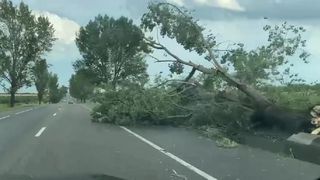 FOTO/VIDEO - Pământul a fost învelit cu un covor alb de gheață, în urma fenomenelor meteo extreme. Grindina a pus stăpânire pe România