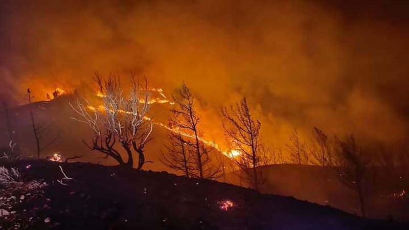 A patra zi de incendii puternice în Grecia. Cea mai grea luptă cu flăcările a fost în Rodos „Condiţiile rămân dificile”