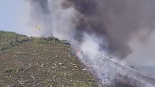 Unul dintre incendii a făcut ravagii necontrolate de-a lungul pădurilor din zona Dervenohoria, la aproximativ 19 mile nord de capitala Atena.