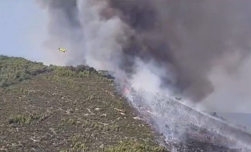 Unul dintre incendii a făcut ravagii necontrolate de-a lungul pădurilor din zona Dervenohoria, la aproximativ 19 mile nord de capitala Atena.