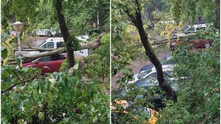 Copacii au distrus mai multe autoturisme &icirc;n Galați