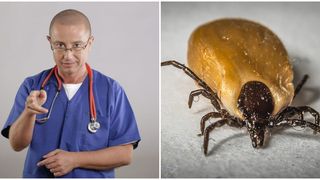 Medicul a spus că prevenția boreliozei implică extragerea rapidă a căpușei și administrare de antibiotice.