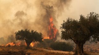 Incendii Grecia 2023. Există risc ridicat să apară noi focare