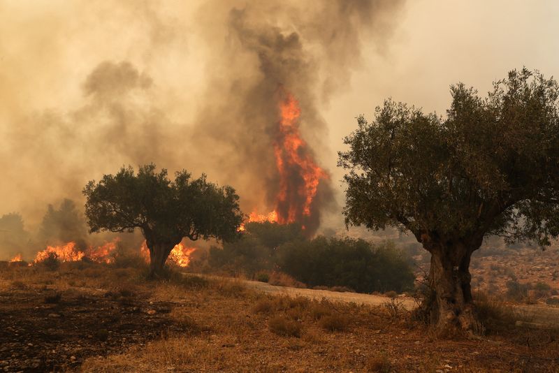 Incendii Grecia 2023. Există risc ridicat să apară noi focare