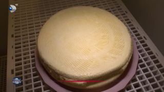 GUSTUL ITALIEI DIN INIMA TRANSILVANIEI