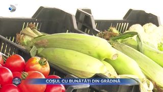 COȘUL CU BUNĂTĂȚI DIN GRĂDINĂ