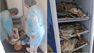 Sancțiuni de peste jumătate de milion de lei au fost date de inspectorii ANSVSA pe litoral. Cinci unități închise și una suspendată temporar din cauza neregulilor