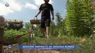 Afacere inspirată de grădina bunicii