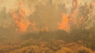 Incendiile de vegetație continuă să facă ravagii &icirc;n Grecia. Zborurile de repatriere vor continua și marți