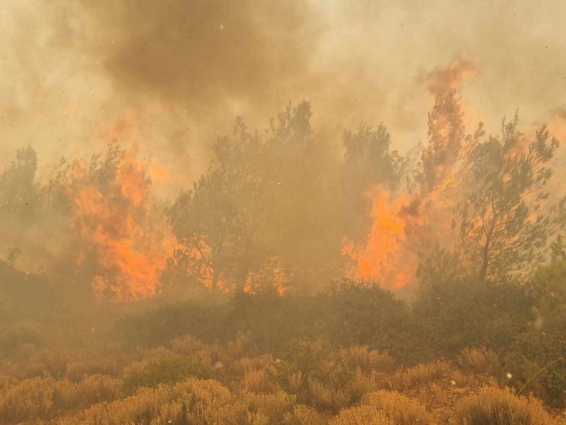 Incendiile de vegetație continuă să facă ravagii în Grecia. Zborurile de repatriere vor continua și marți