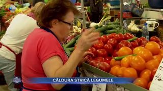 VIDEO - Canicula face pagube: Legumele și fructele se strică în depozite. „10 sticle de apă pe zi dau pe produse”