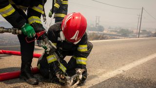 Pompierii rom&acirc;ni salvează animale din incendiile din Rodos
