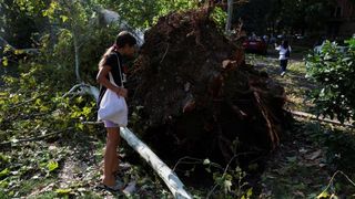 Pagubele produse de furtuna puternică din Milano.