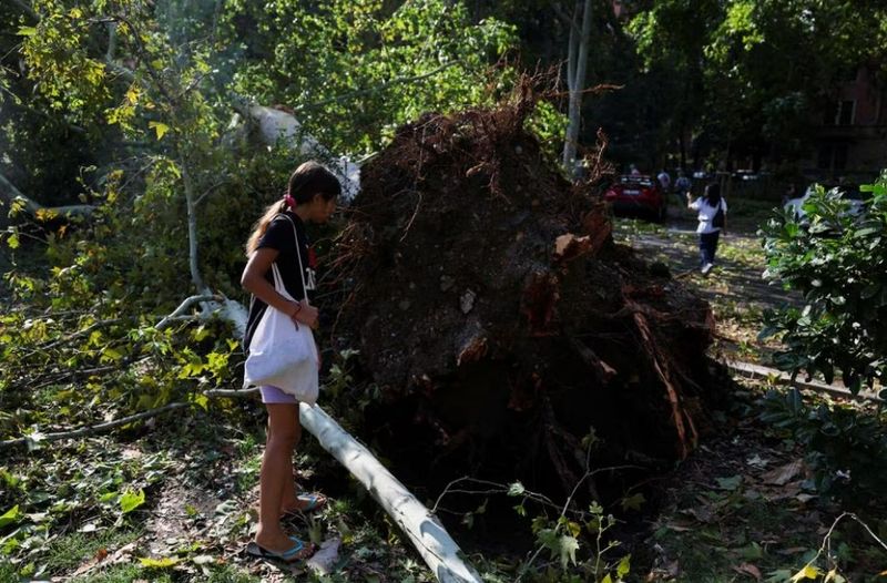 Pagubele produse de furtuna puternică din Milano.