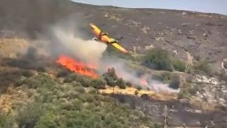Presa locală a relatat că aripa avionului a atins un copac, iar imaginile arată cum avionul se prăbușește la sol înainte de a se vedea o explozie. 