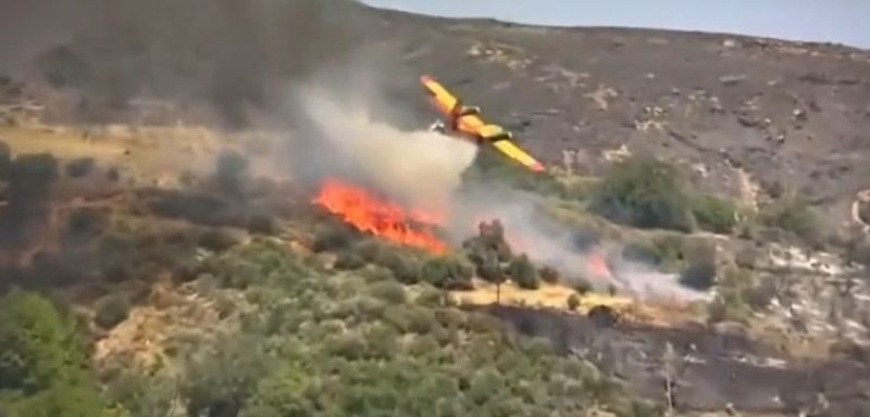 Presa locală a relatat că aripa avionului a atins un copac, iar imaginile arată cum avionul se prăbușește la sol înainte de a se vedea o explozie. 