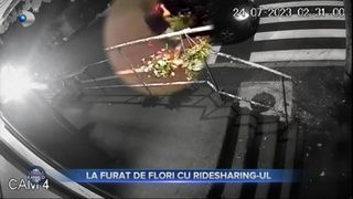 La furat de flori cu ridesharing-ul