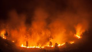 Cei doi piloți ai aeronavei care s-a prăbușit &icirc;n Grecia au murit. Avionul participa la operațiunea de stingere a incendiilor