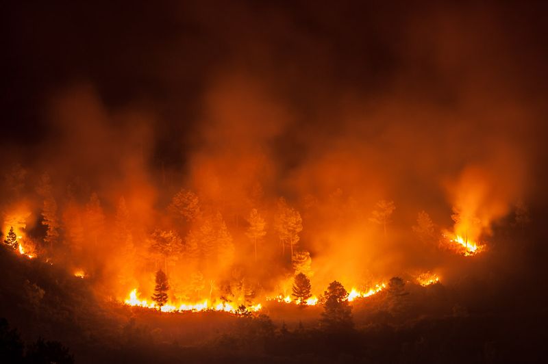 Cei doi piloți ai aeronavei care s-a prăbușit în Grecia au murit. Avionul participa la operațiunea de stingere a incendiilor