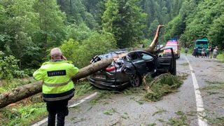 O femeie &icirc;n v&acirc;rstă de 64 de ani a murit, iar un bărbat a fost rănit după ce un arbore a căzut peste o mașină pe Transalpina