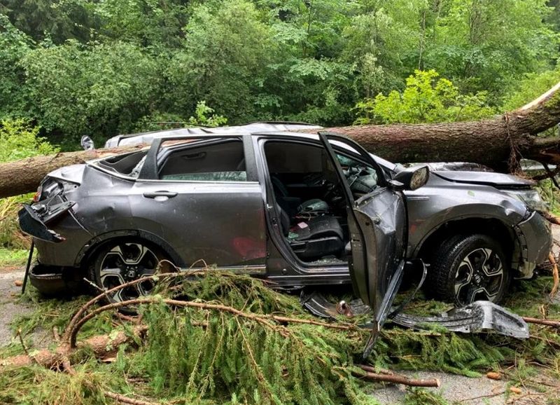 Manevrele de resuscitare pentru femeie, aflată în stare de inconştienţă după ce copacul a căzut peste maşină, au fost efectuate, până la sosirea echipajelor medicale.
