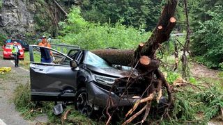  Traficul rutier este oprit pe DN 67 C &ndash; Transalpina, &icirc;ntre Tău și barajul Oașa, după ce mai mulți copaci au fost dobor&acirc;ți de furtună pe carosabil.