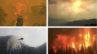 Incendiile continuă să facă ravagii. Mai multe țări din Europa și Africa de Nord se luptă cu flăcările: „Nu există un mecanism magic de apărare”